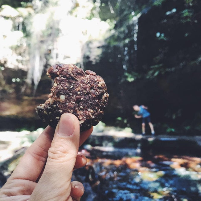 Gutsy Chocolate Nut Bites